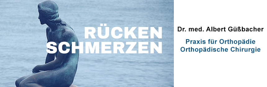  Rueckenschmerzen.png