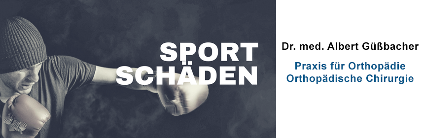  Sportschaeden.png
